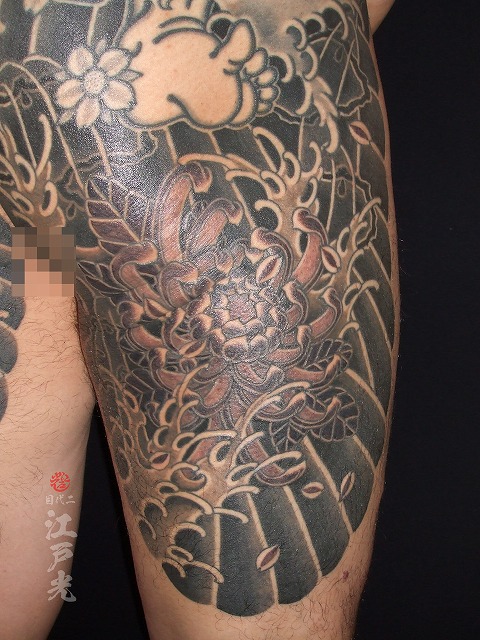 菊、桜、甲羅彫り、背中、和彫り、カラス彫りの刺青タトゥー