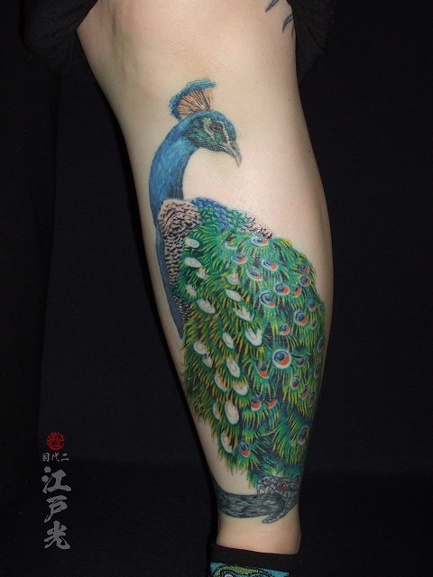 孔雀のタトゥー、女性、足、ふくらはぎ、刺青