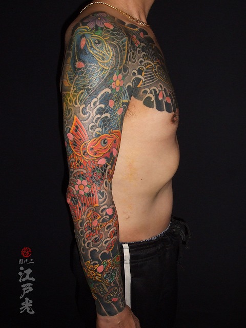 錦鯉、鯉、桜、額彫り、ひかえ、カイナ、腕長袖、十分の和彫りの刺青タトゥー