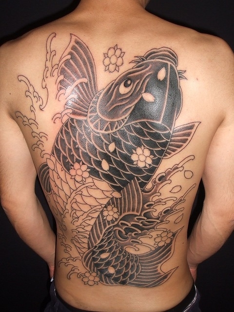 背中に鯉の刺青タトゥー | 鯉の刺青 | 東京 刺青 タトゥー 和彫り 洋彫り 刺青師二代目江戸光