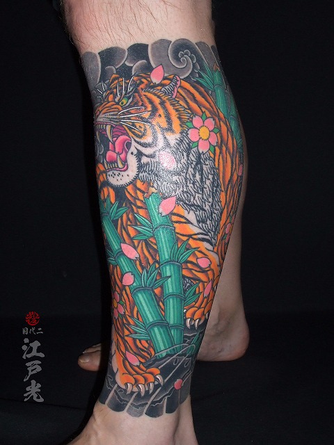 虎と桜、足、ふくらはぎの刺青タトゥー：東京刺青師二代目江戸光