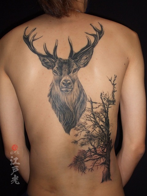 アカシカと木の刺青タトゥー、Cervus elaphus、Red Deer、tree tattoo