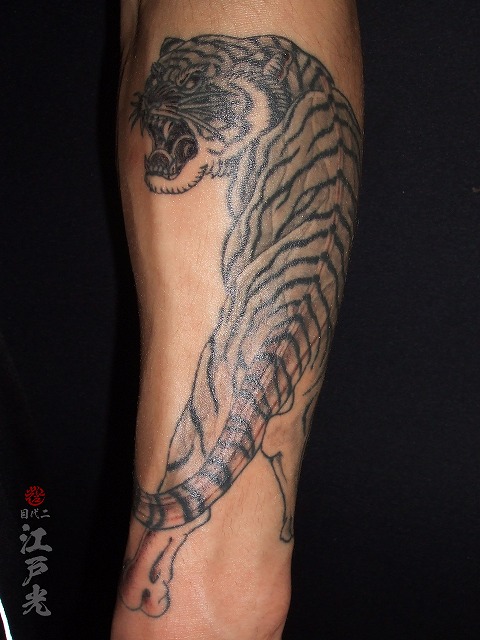 虎と菊、白目、カラス彫りの刺青タトゥー　tigertattoo